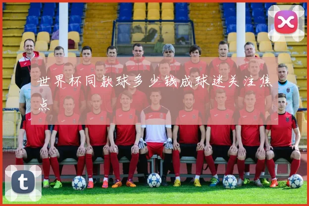 世界杯同款球多少钱成球迷关注焦点
