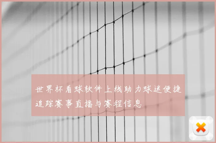 世界杯看球软件上线助力球迷便捷追踪赛事直播与赛程信息