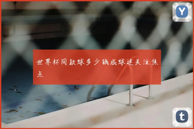 世界杯同款球多少钱成球迷关注焦点