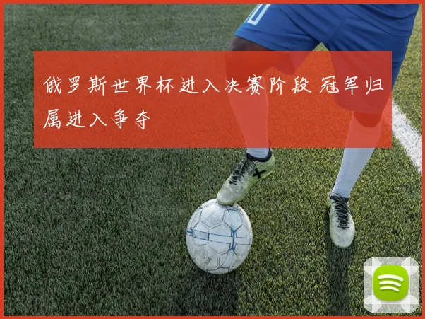 俄罗斯世界杯进入决赛阶段 冠军归属进入争夺