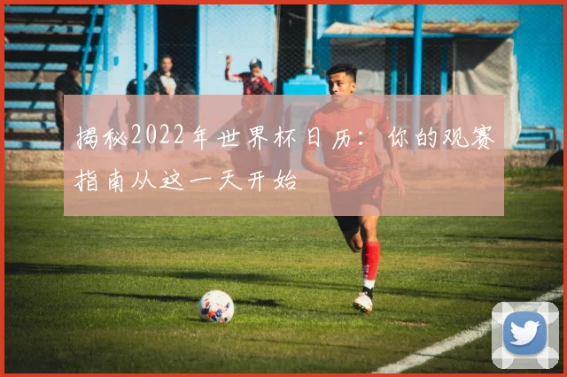 揭秘2022年世界杯日历:你的观赛指南从这一天开始