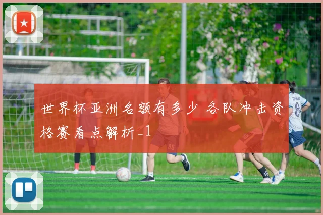 世界杯亚洲名额有多少 各队冲击资格赛看点解析_1